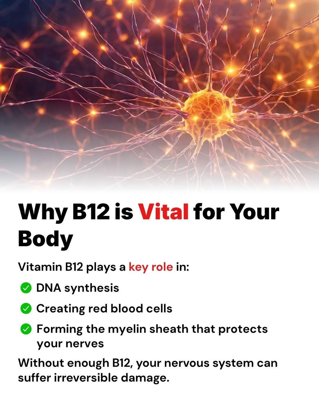 Vitamin B-12 (10ml) – Home Use Formula